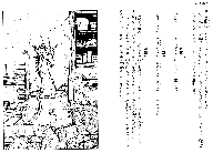 Sample Pages
